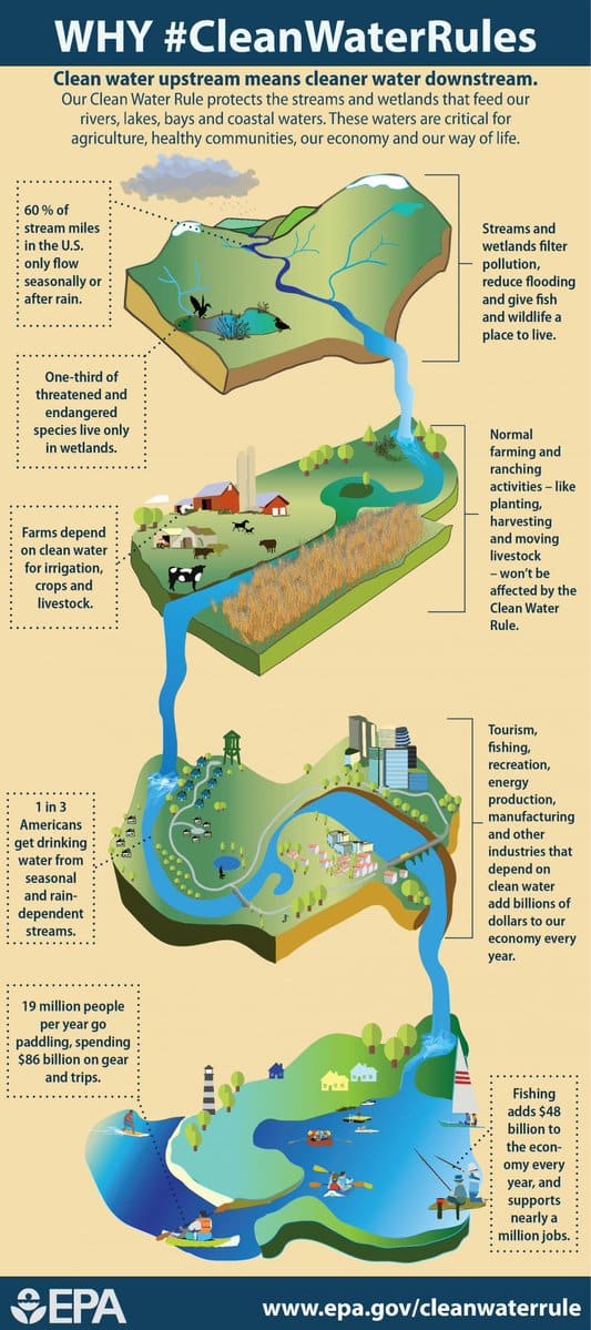 Diagram showing interconnectivity of of streams, wetlands and lakes in watersheds.